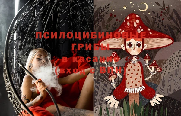 кокс Алексин