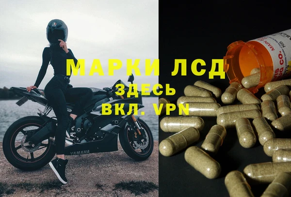 ECSTASY Осинники