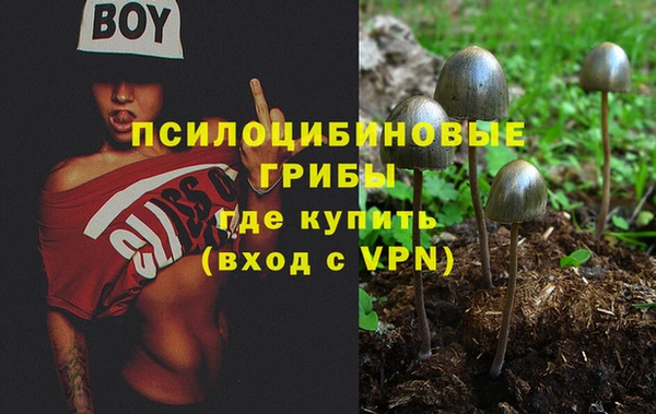 кокс Алексин